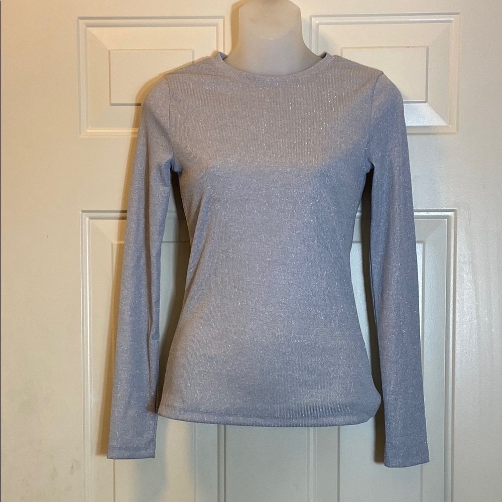 A.new New No Tag Elegant Silver Stretch Long Sleeve Top Size X-Small